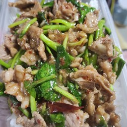 ผัดคะน้าเนื้อวัวออสเตรเลีย ราดข้าวหอมมะลิ