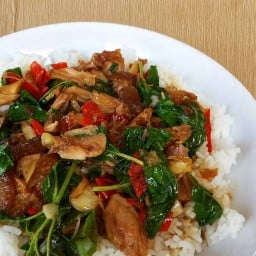 ร้านค้ำคูณ กะเพราขาหมู-หมูกรอบหนึ่งเดียวในขอนแก่น