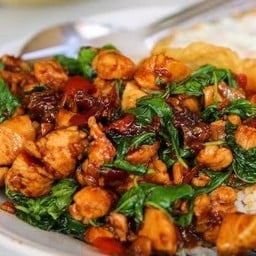 ข้าวกะเพราไก่