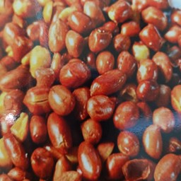 ถั่วลิสงทอด