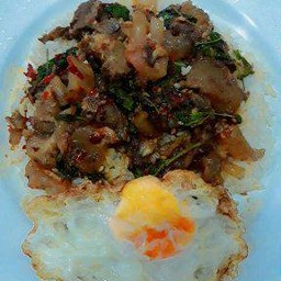 ข้าวกะเพราเอ็นเนืั้อเปื่อยไข่ดาว