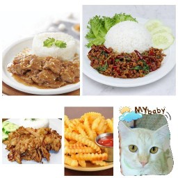 ก:IพSๅSอบดึก