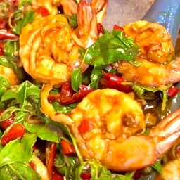 ผัดกะเพรากุ้ง  ราดข้าว