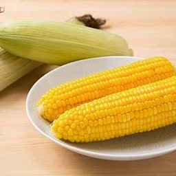 ข้าวโพดต้ม