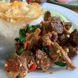 ข้าวราดกระเพราเนื้อตุ๋น+ไข่ดาว