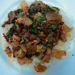 ข้าวกะเพราเอ็นเนื้อเปื่อย