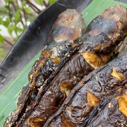ปลาดุกนาย่าง (มินิ)