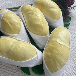 ทุเรียนหมอนทองลับแล เนื้อล้วน ( ขนาด 500 กรัม )