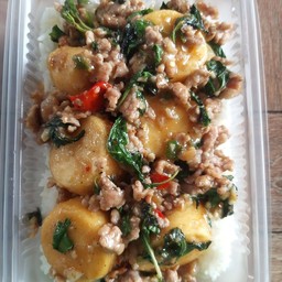 กะเพราเต้าหู้ หมูสับ ราดข้าว