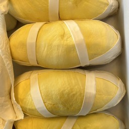 ทุเรียนถ้ำสิงห์ ชุมพร เนื้อล้วน ( ขนาด 500 กรัม )