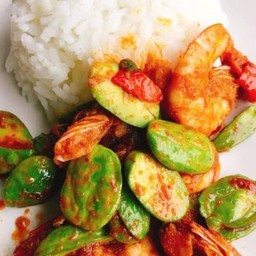 ข้าวพริกแกงกุ้งสะตอ