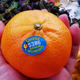 ส้มฮันนี่เมอร์คอร์ทออสเตรเลีย  1,000 กรัม