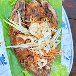 ปลาสำลี แดดเดียว