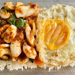 ผัดพริกแกงปลาหมึก+ไข่ดาวราดข้าว