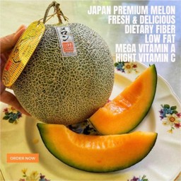 เมล่อนญี่ปุ่นแท้ เกรด A ราคา 1ลูก ( เนื้อสีส้ม )