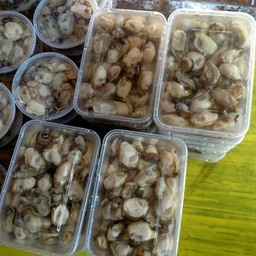 หอยนางรม1กล่องใหญ่