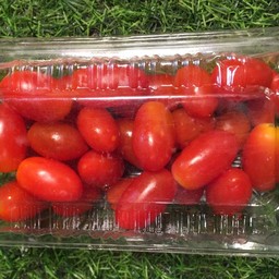 มะเขือเทศราชินี