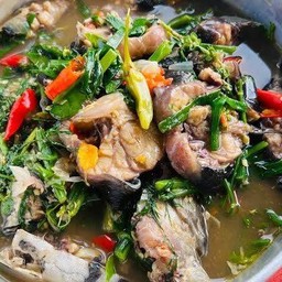 แกงอ่อมปลาดุก