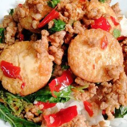 ข้าวกะเพราเต้าหู้อ่อนหมูฉับ