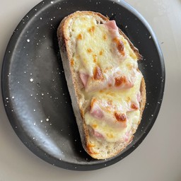 Ham&mozzarella cheese-sd