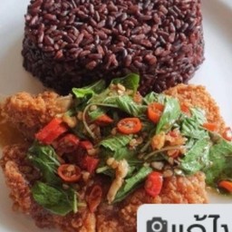 ข้าวไรซ์เบอร์รี่กระเพราไก่กรอบ(Chicken Chilli Basil Riceberry)