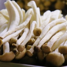 เห็ดชิเมจิ