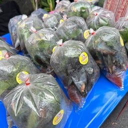 ส้มตำ ยำแซ่บ ใต้ทางด่วนราชวิถี