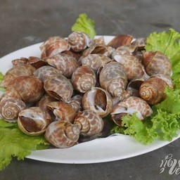หอยวาน