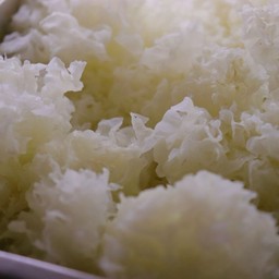 เห็ดหูหนูขาว