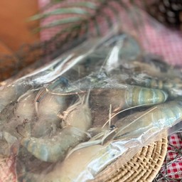 กุ้งเล็ก(25-30ตัว) 1Kg.