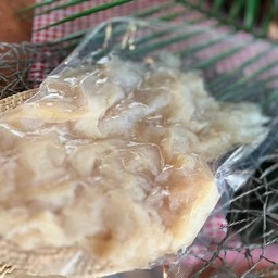 แมงกะพรุน