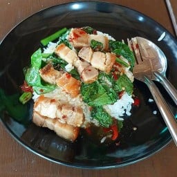 กะเพราเก่ง