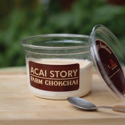 Plain Greek Yogurt  (ACAI)