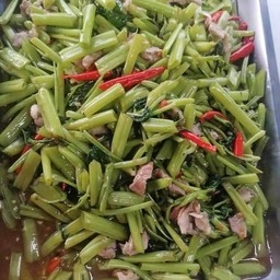ข้าวแกง เจ้รุ่ง ตลาดpxซอย4