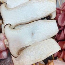 เห็ดออรินจิ