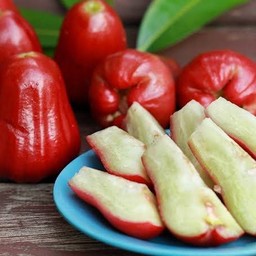 ชมพู่ทับทิม 1กล่อง