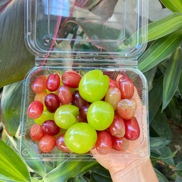 องุ่นแดงxองุ่นเขียวกล่องเล็ก