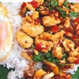 ข้าวกะเพราไก่