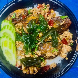 กะเพราหมูสับ ไข่เยี่ยวม้า ราดข้าว