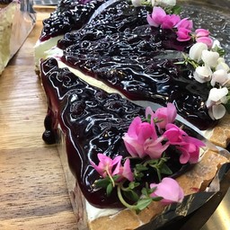 Blueberry cheesepie