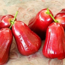 ทับทิมจันทร์ 1กิโล