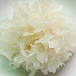 เห็ดหูหนูขาว