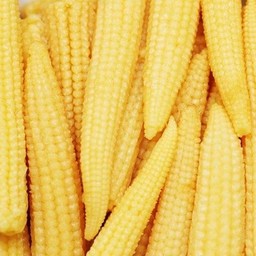 ข้าวโพดอ่อน