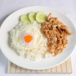 ข้าวหมูกระเทียมไข่ดาว [D]