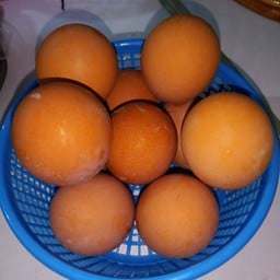 ไข่ต้ม