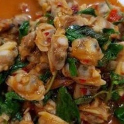 กระเพราหอยลาย(ราดข้าว)