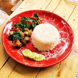ข้าวราดผัดกะเพรา