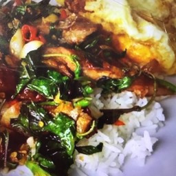 กระเพราไก่ราดข้าว+ไข่ดาว