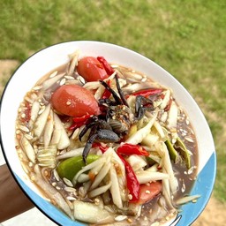 ส้มตำแซ่บอีสานｂｙพี่ออม วิลล่าจามจุรี29