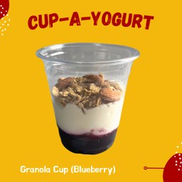 Granola cup (Blueberry)